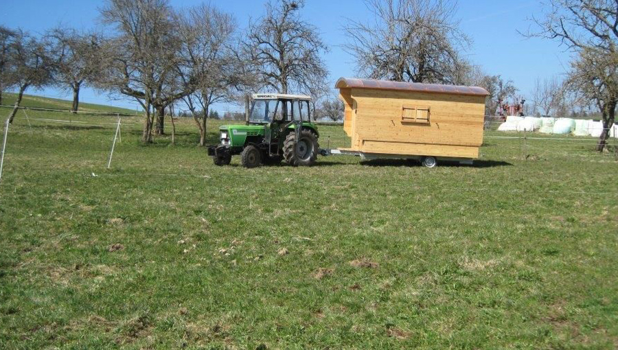 Traktor zieht Schäferwagen auf Bauernhof